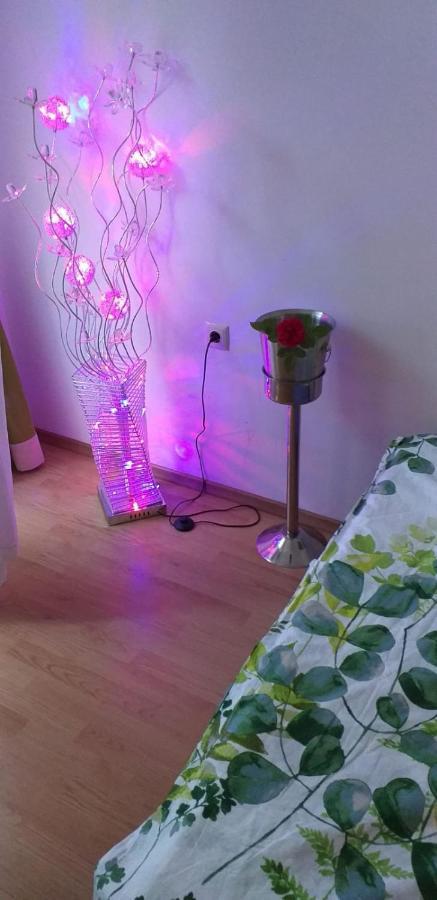 Aphrodite Rose ساني بيتش المظهر الخارجي الصورة